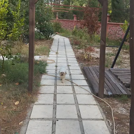 Ξενοδοχείο με διαμερίσματα Goekbuek